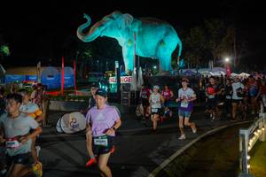 BIB: 
                            <button type="button" onclick="openModal(26552304)" class="btn btn-primary btn-sm float-right btn-popup" data-toggle="modal" data-target=".modal-high-quality">
                        <i class="fas fa-shopping-cart"></i> Add to Cart
                    </button>
                                            <button type="button" onclick="isThisMe(26552304, true)" class="btn btn-success btn-sm float-right btn-popup btn-isme hidden" data-toggle="tooltip" data-placement="bottom" title="นี่คือรูปของคุณใช่ไหม คลิกที่นี่เพื่อเอาเข้าอัลบั้ม">
                        <i class="fas fa-plus"></i> Add to album
                    </button>
                    <button type="button" onclick="isThisMe(26552304, false)" class="btn btn-warning btn-sm float-right btn-popup btn-isnotme hidden">
                        <i class="fas fa-ban"></i> Remove from album
                    </button>